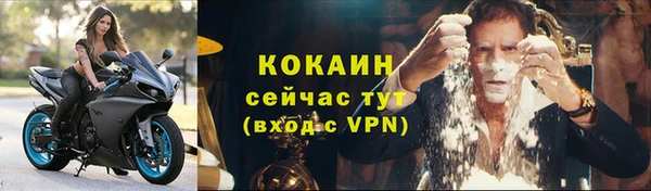 твердый Богородицк