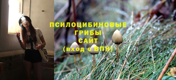 бошки Богородск