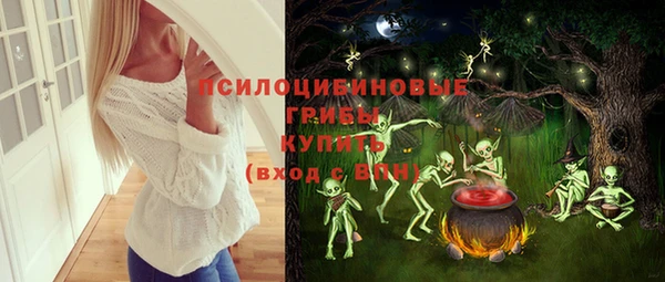 метадон Богданович