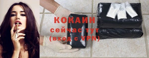 твердый Богородицк