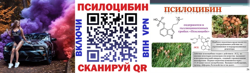 закладка  KRAKEN вход  Псилоцибиновые грибы Psilocybine cubensis  Мелеуз 